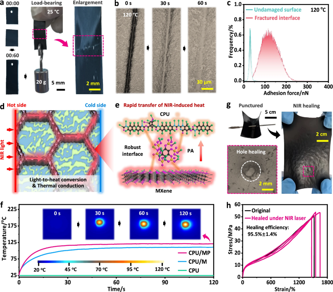 南理工傅佳骏/徐建华团队 Nat. Commun.:给自修复材料“强筋健骨” - 跨尺度结构设计打造高硬韧耐疲劳自修复复合材料