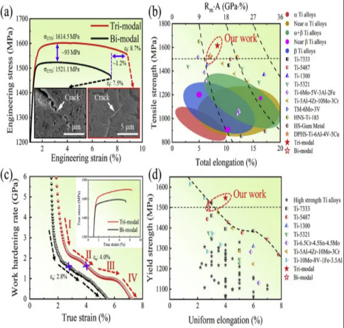 西安交通大学《Acta Materialia》顺序激活多重变形机制助力高强度-延展性协同作用的分层双相钛合金