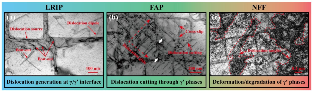 中国科学院大学《JMST》530℃下镍基单晶高温合金裂纹扩展规律