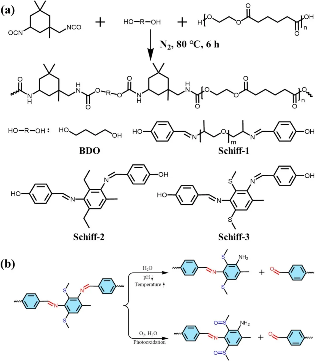 大连理工大学孙文/刘贵昌教授团队Progress in Organic Coatings | 从被动防御到主动进攻：单一席夫碱基元驱动的智能防污聚氨酯