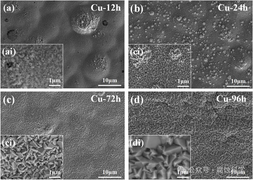 上海交通大学《Corrosion Science》：多尺度表征揭示硫化物固态电池中H₂S引发的铜箔腐蚀失效机制