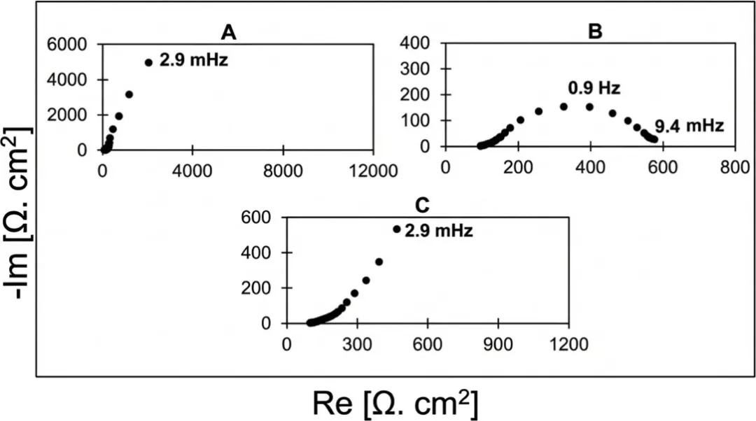 里约热内卢联邦大学Oscar R. Mattos团队深度辨析经典极化理论，破解电化学腐蚀评价的适用性误区