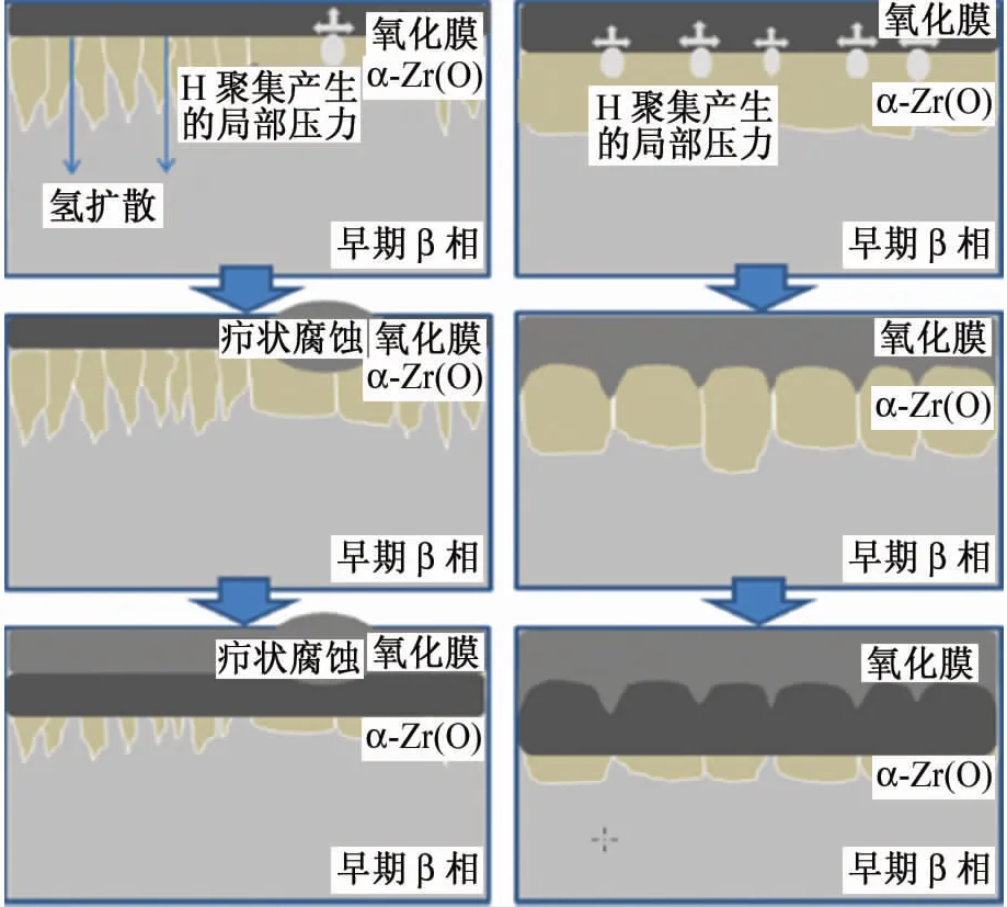 640?wx_fmt=jpeg&tp=webp&wxfrom=5&wx_lazy=1&wx_co=1.jpg