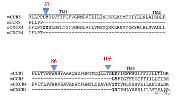 640?wx_fmt=png&tp=webp&wxfrom=5&wx_lazy=1&wx_co=1.jpg