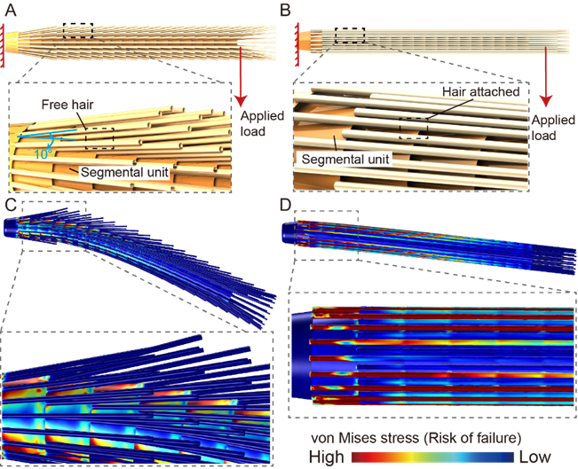 640?wx_fmt=png&wxfrom=5&wx_lazy=1&wx_co=1.jpg