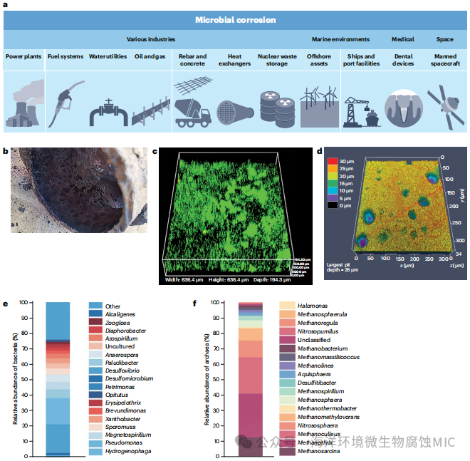 【特别：AI+微生物腐蚀】微生物介导的金属腐蚀综述-1