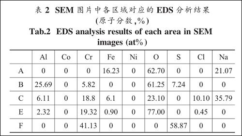 图片21